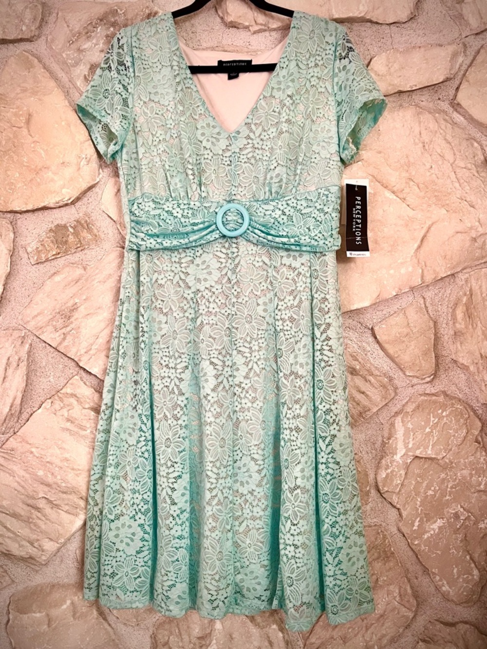 Perceptions Fully Lined Mint Green Lace Dress NWT M